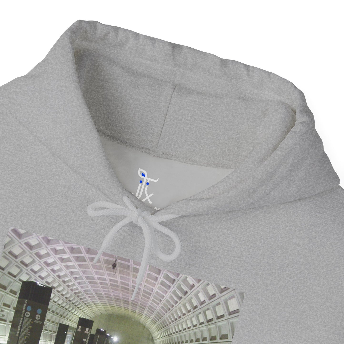 Blue Line Metro Hoodie